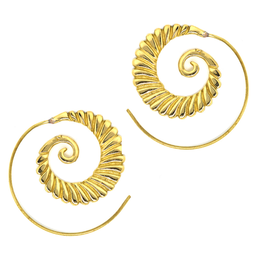 Brass gold nautilus pattern coil earring - IFE165