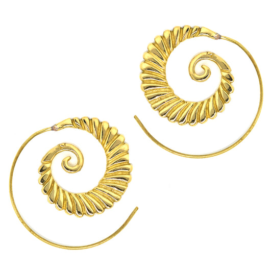 Brass gold nautilus pattern coil earring - IFE165