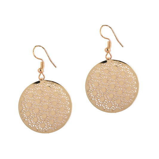 Fashion medium Lattice disc hanging earring - MFE2955